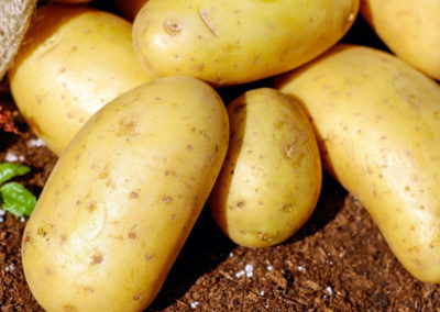 Potato